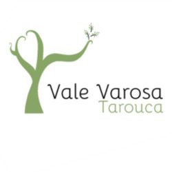 Vale do Varosa - Logo